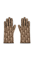 D-Oblique Cashmere Gloves
