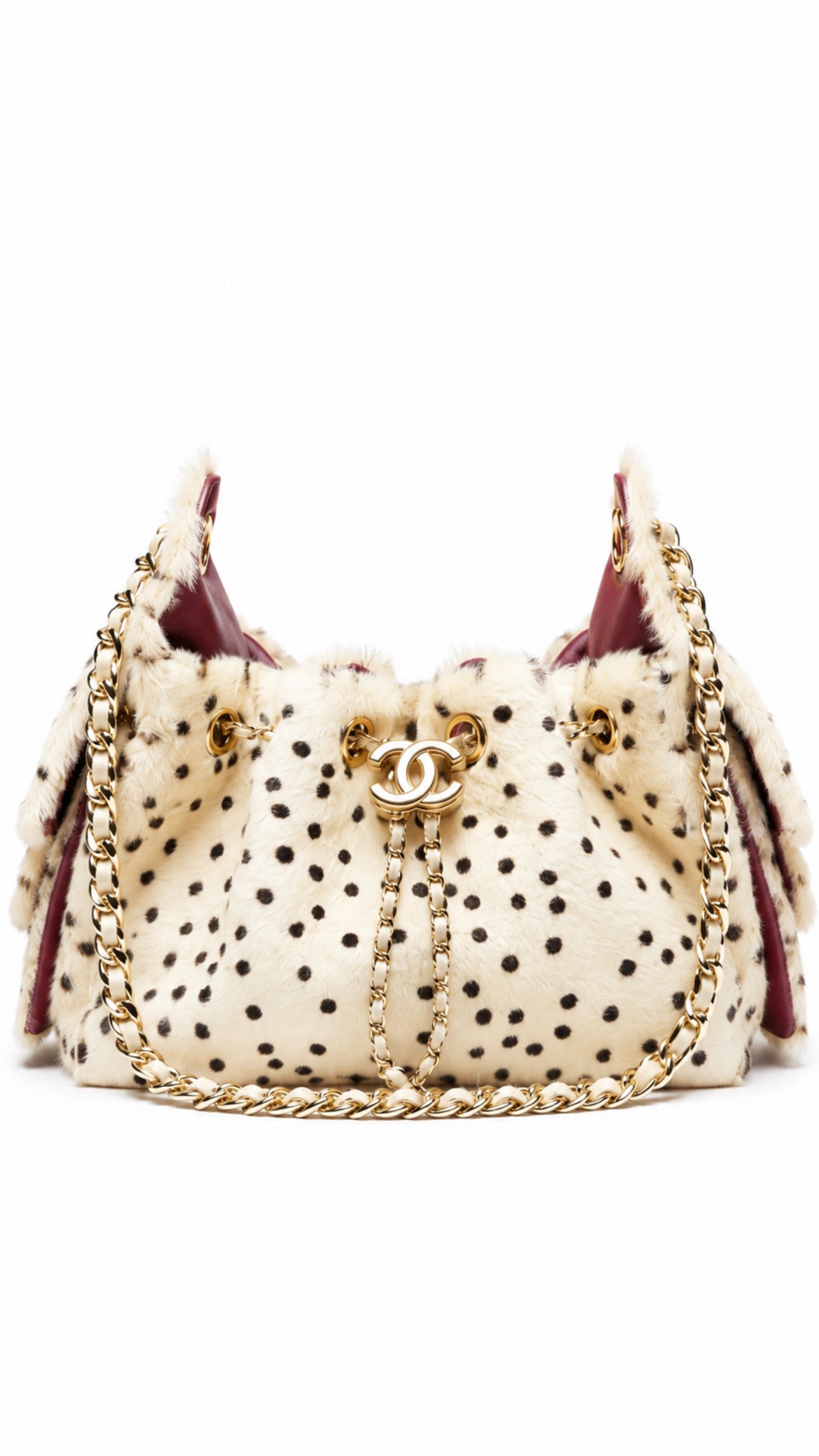 CH 25 Bag