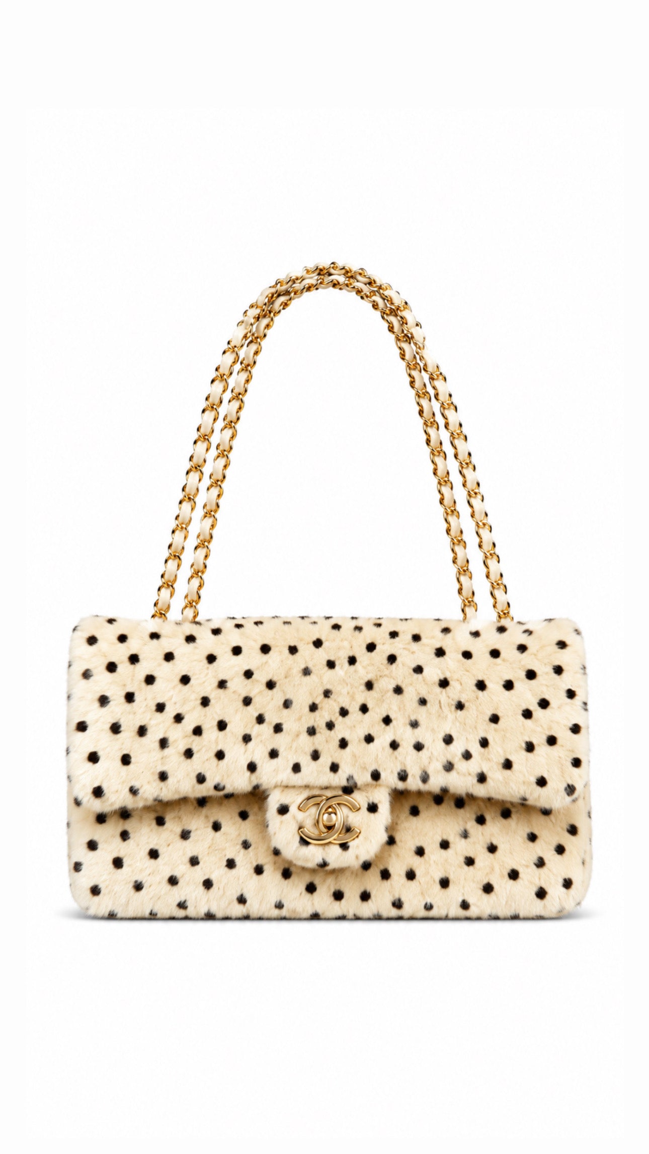 CH 25 Bag